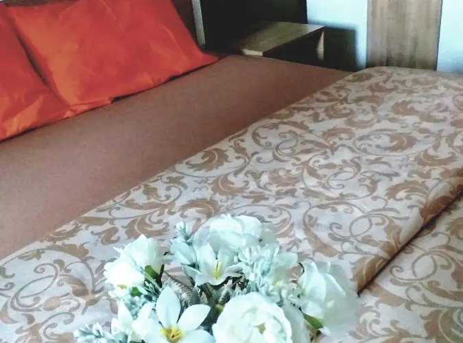 F&m No 12 דירה *